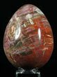 Colorful, Polished Petrified Wood Egg - Triassic #58516-1